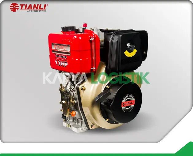 Tianli Air-Cooled TDA186FA Diesel Engine