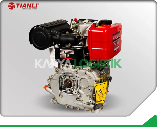 Tianli Air-Cooled TDA195F Diesel Engine