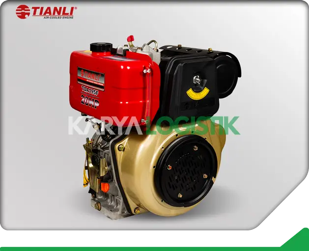 Tianli Air-Cooled TDA195F Diesel Engine