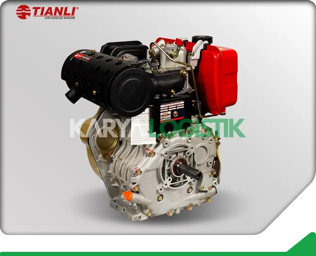 Tianli Air-Cooled TDA195F Diesel Engine