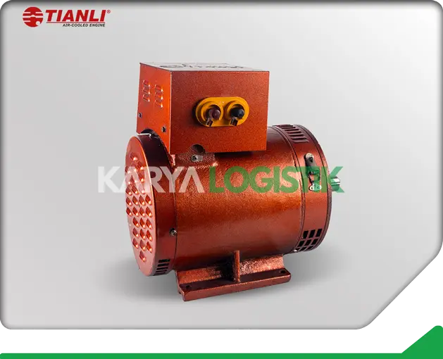 Tianli ST-3 3KW Dynamo Alternator