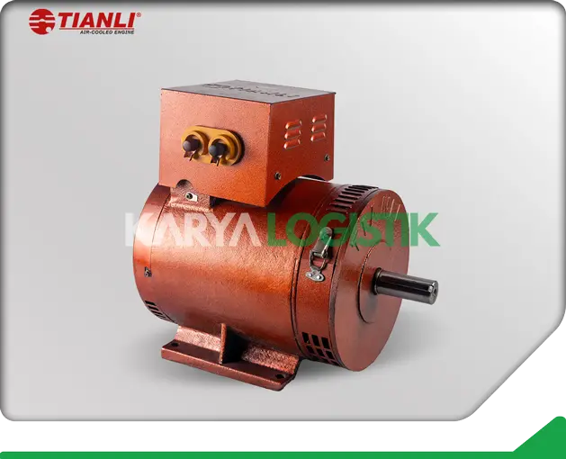 Tianli ST-3 3KW Dynamo Alternator
