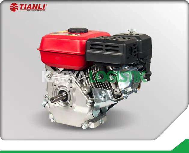 Tianli TGE160 Gasoline Engine