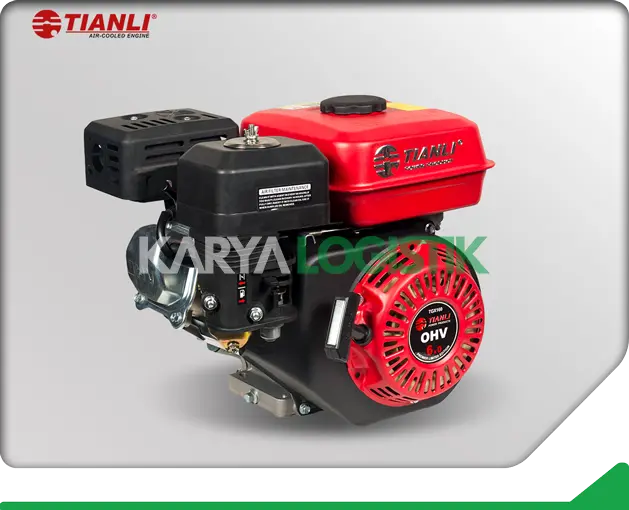 Tianli TGE160 Gasoline Engine