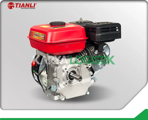 Tianli TGE160 Gasoline Engine