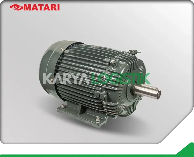 Matari AEEB 15HP 4 Pole 3 Phase Dynamo Electromotor