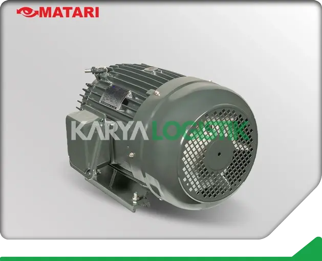 Matari AEEB 15HP 4 Pole 3 Phase Dynamo Electromotor