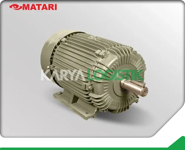 Matari AEEB 20HP 4 Pole 3 Phase Dynamo Electromotor