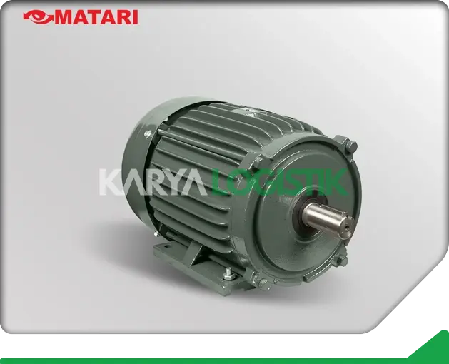 Matari AEEB 3HP 4 Pole 3 Phase Dynamo Electromotor