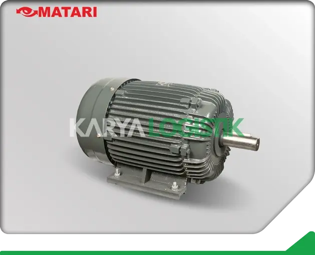 Matari AEEF 15HP 4 Pole 3 Phase Dynamo Electromotor