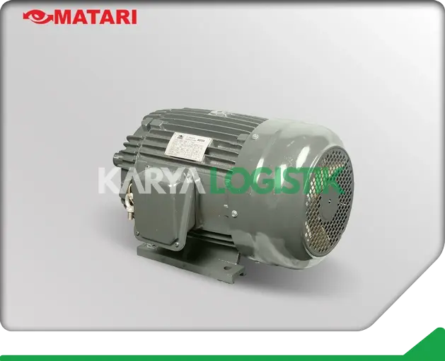 Matari AEEF 15HP 4 Pole 3 Phase Dynamo Electromotor