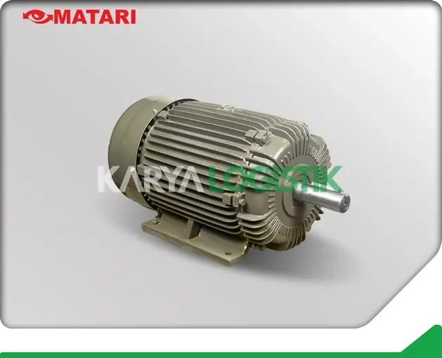 Matari AEEF 20HP 4 Pole 3 Phase Dynamo Electromotor