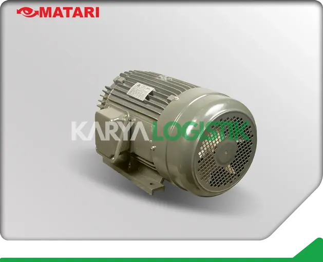 Matari AEEF 20HP 4 Pole 3 Phase Dynamo Electromotor