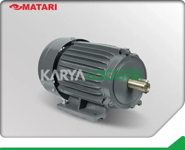 Matari AEEF 2HP 4 Pole 3 Phase Dynamo Electromotor