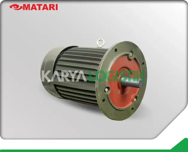 Matari AEEF 3HP 4 Pole 3 Phase Dynamo Electromotor