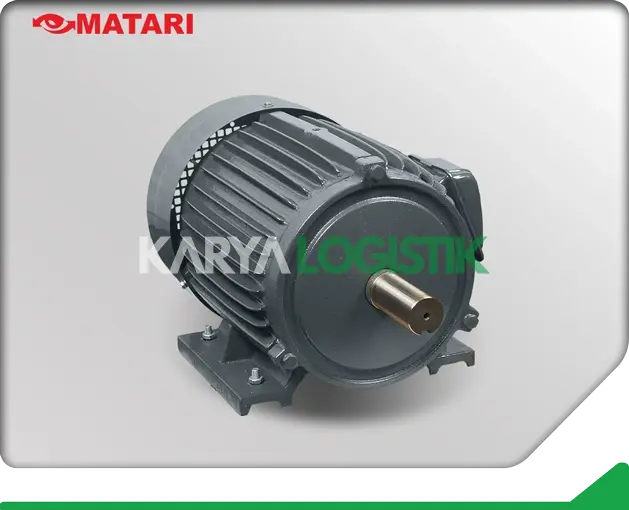 Matari AEEF 7.5HP 4 Pole 3 Phase Dynamo Electromotor