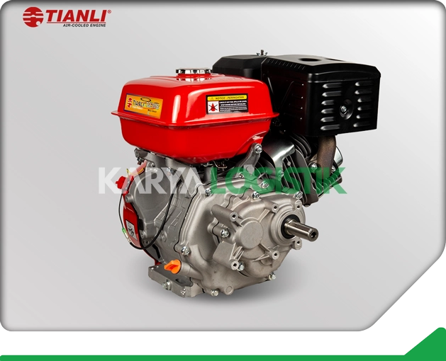 Tianli TGE390SG Gasoline Engine