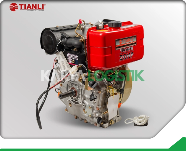 Tianli Air-Cooled TDA195FE Diesel Engine