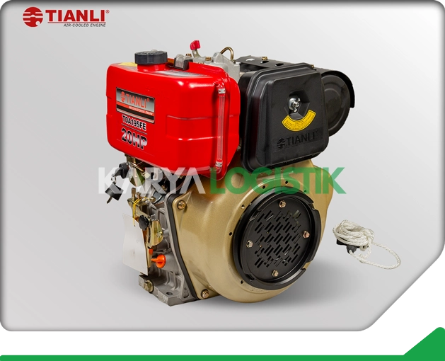 Tianli Air-Cooled TDA195FE Diesel Engine