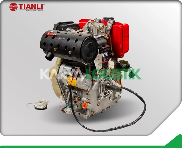 Tianli Air-Cooled TDA195FE Diesel Engine