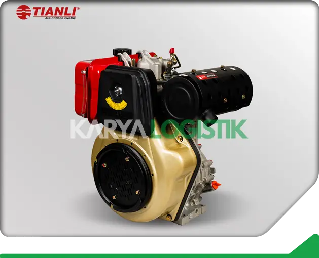 Tianli Air-Cooled TDA195F Diesel Engine