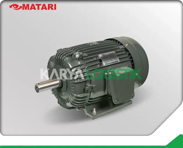 Matari AEEB 15HP 4 Pole 3 Phase Dynamo Electromotor