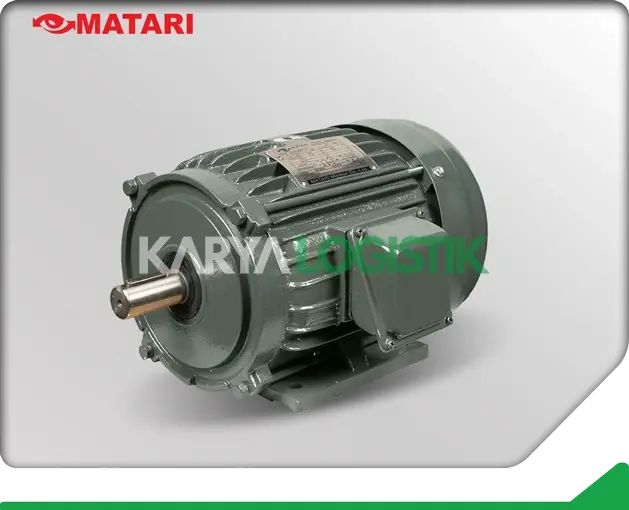 Matari AEEB 3HP 4 Pole 3 Phase Dynamo Electromotor