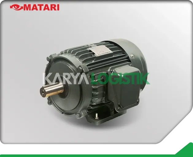 Matari AEEB 7.5HP 4 Pole 3 Phase Dynamo Electromotor