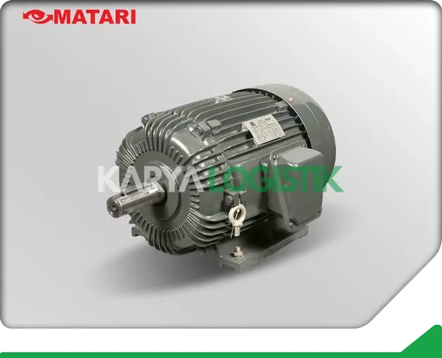 Matari AEEF 15HP 4 Pole 3 Phase Dynamo Electromotor