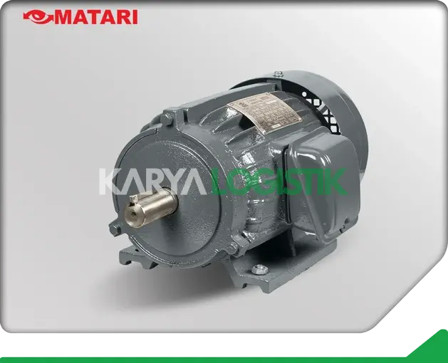 Matari AEEF 2HP 4 Pole 3 Phase Dynamo Electromotor