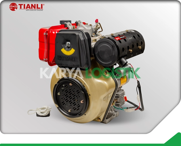 Tianli Air-Cooled TDA195FE Diesel Engine